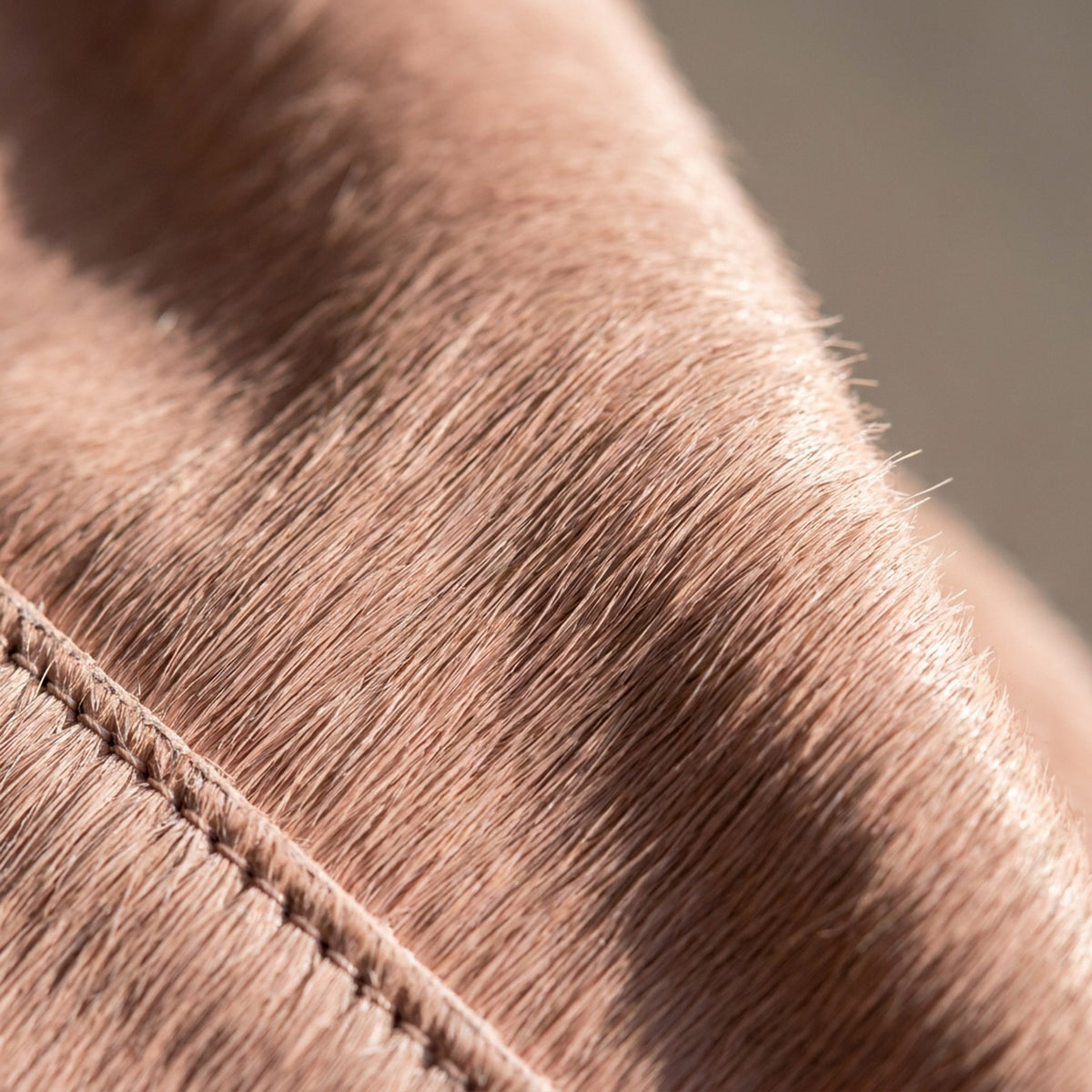 Veau façon poulain rose, macro : poil ras couché dans un seul sens.